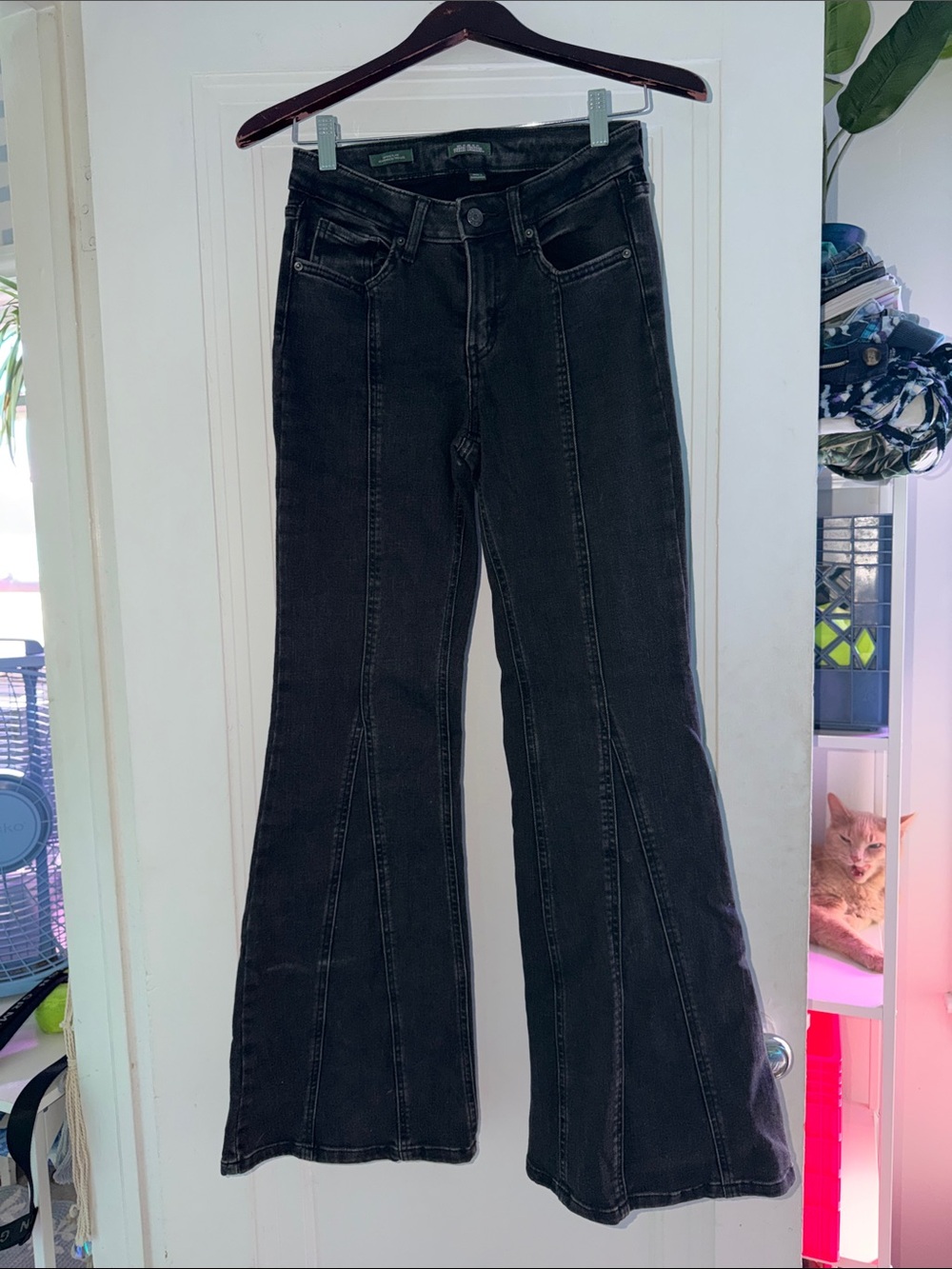 wild fable Black High-Rise Flare Jeans